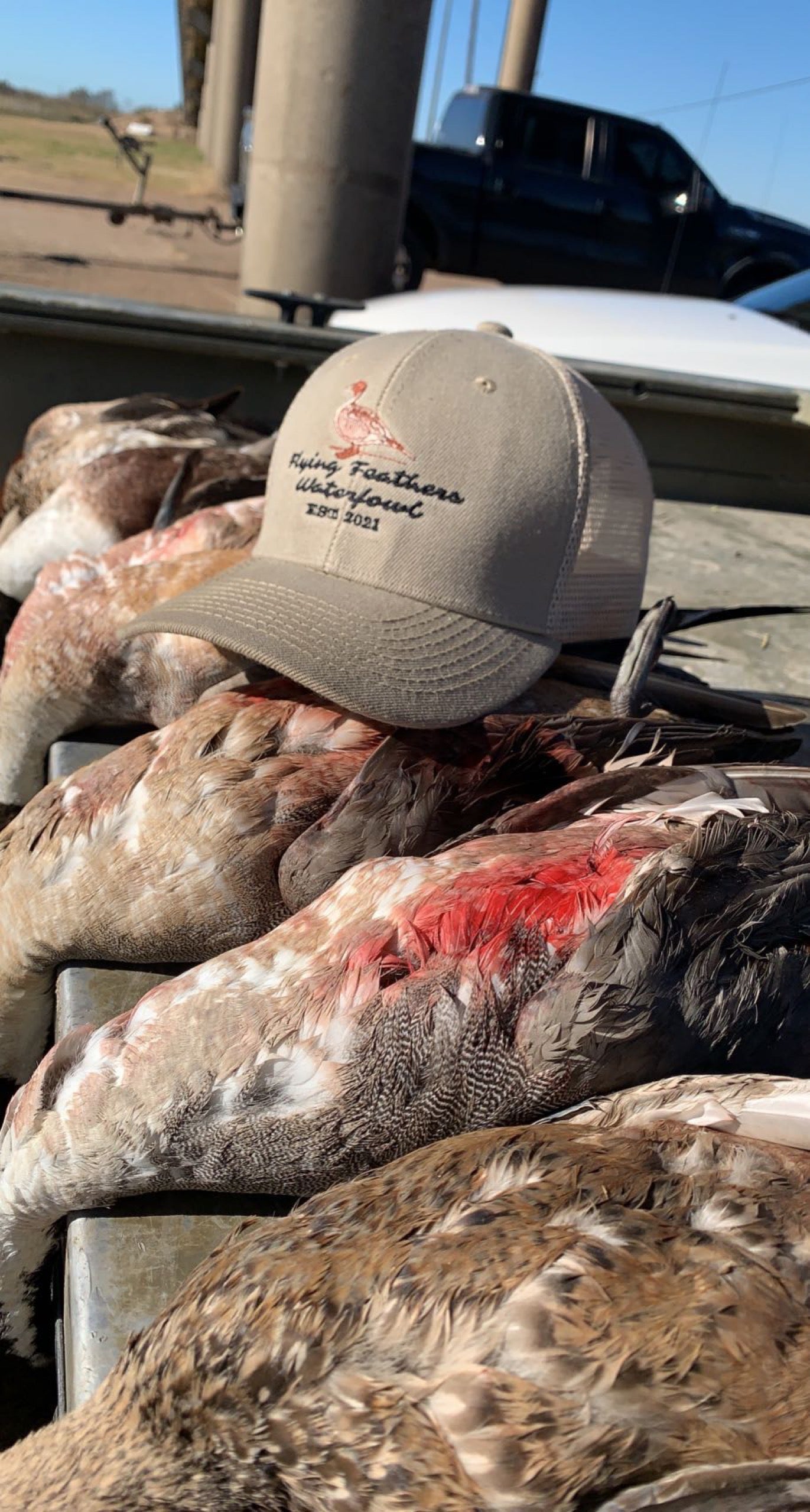 FFW Pintail Hat